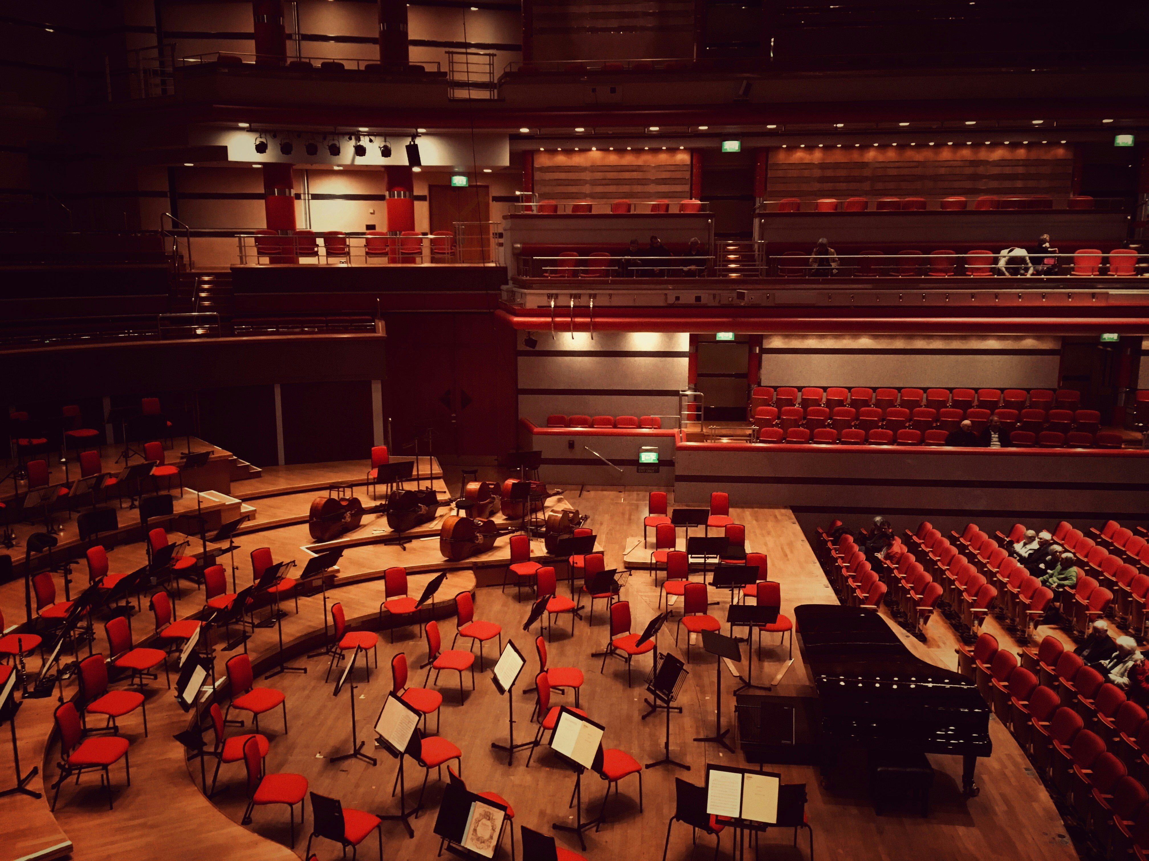 Orchestra Performance 1