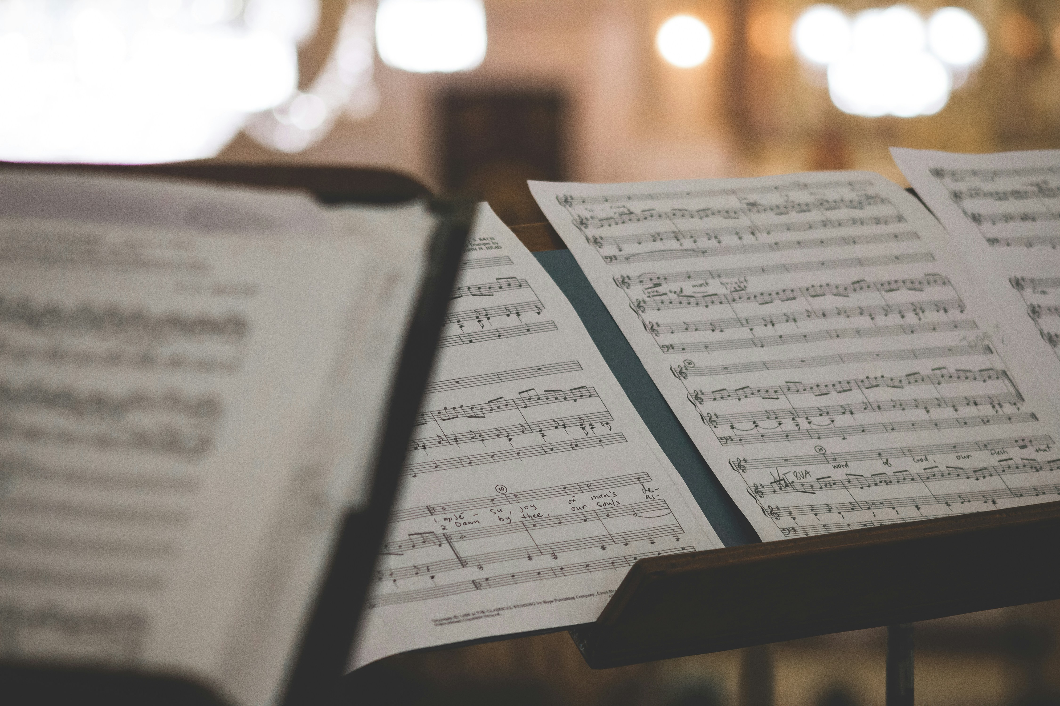 Orchestra Performance 3